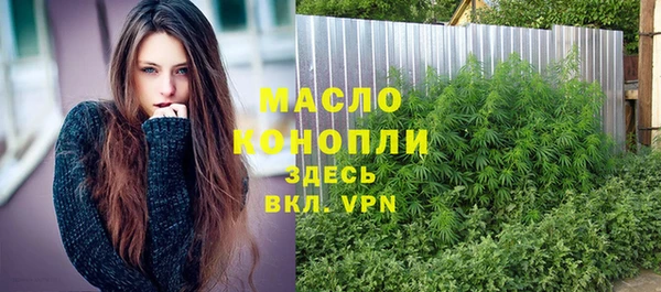 метадон Богданович