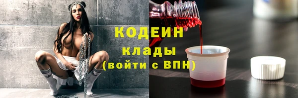 метадон Богданович