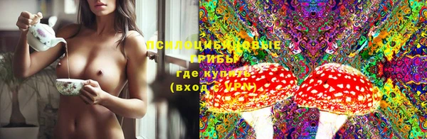 метадон Богданович