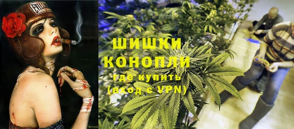 метадон Богданович