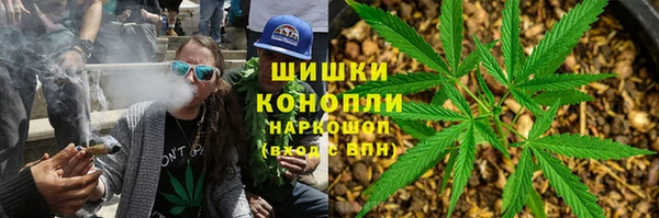 метадон Богданович
