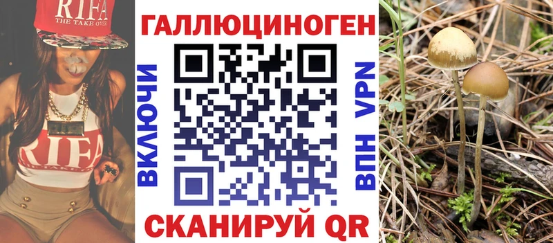 Псилоцибиновые грибы Psilocybe  kraken рабочий сайт  Кущёвская  купить наркоту 